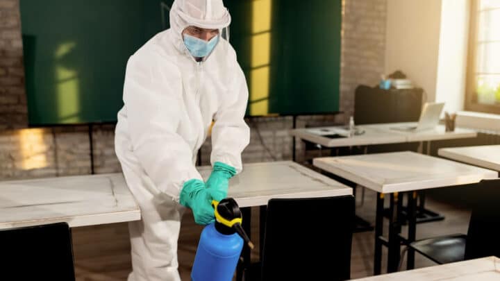 Come avviene la disinfestazione nelle scuole