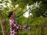 Manutenzione alberi e sicurezza domestica