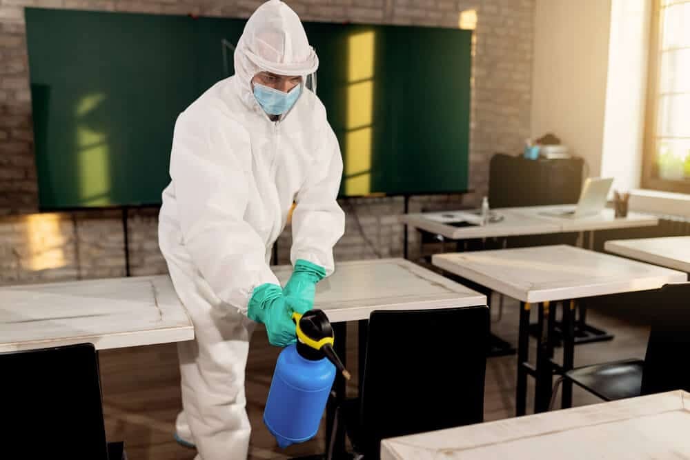 Come avviene la disinfestazione nelle scuole